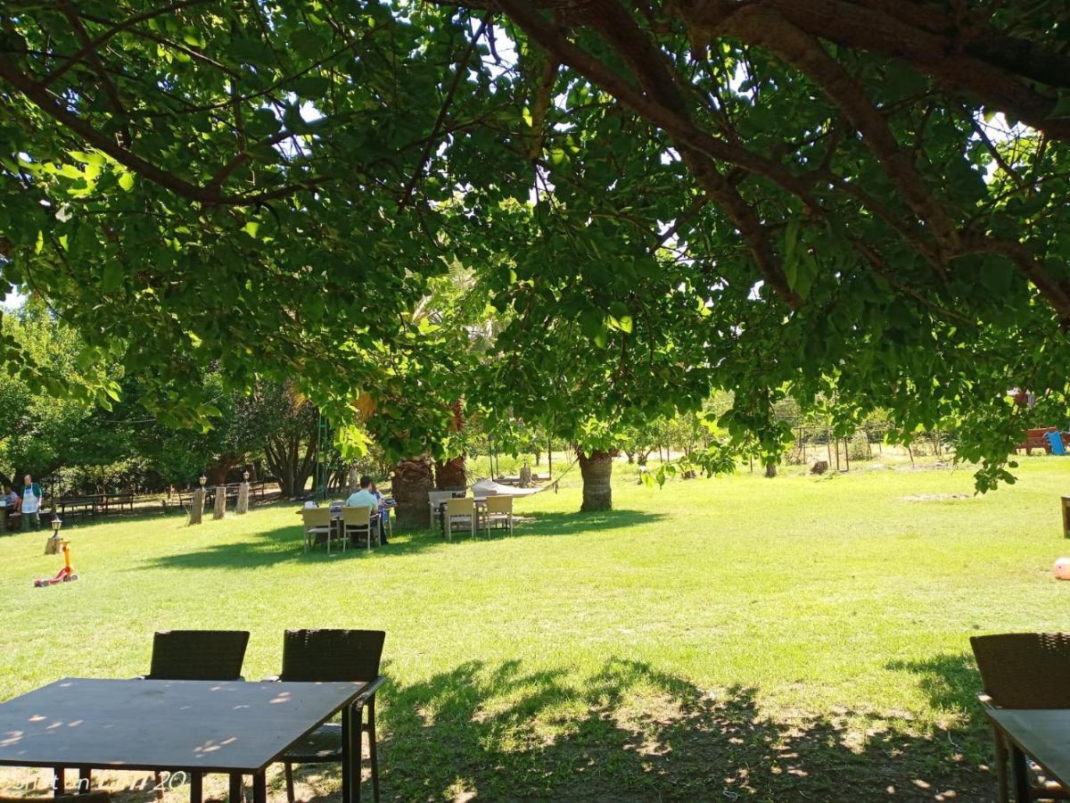 Appartamento Erdem Ciftligi/ Ephesus Arena Selçuk Esterno foto